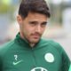 VfL Wolfsburg lets Josip Brekalo move to Turin