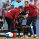 FC Bayern: Gnabry and Lewandowski struck