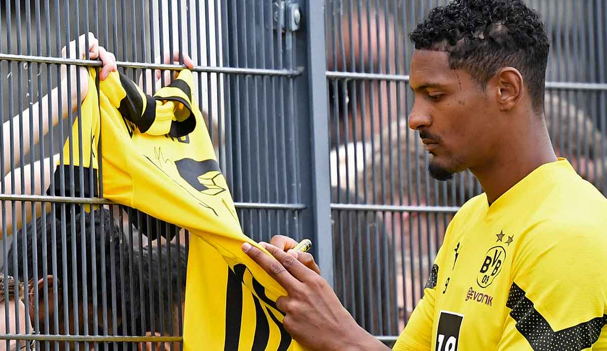 BVB, news and rumors - Sebastien Haller: Marius Wolf was influenced by changes